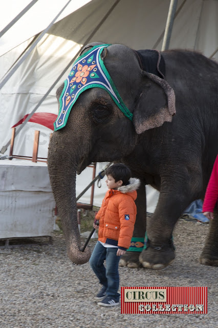 un éléphant et un enfant