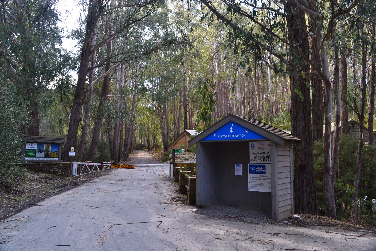 Goin' Feral One Day At A Time Mt Stirling Circuit, Alpine National