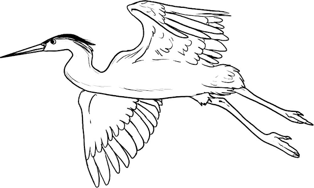 Mewarnai Gambar Burung Bangau - 4 Mewarnai Gambar Burung Bangau - 4