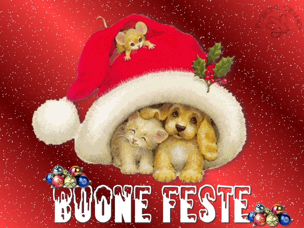 Live-bibi: Auguri di Buon Natale dal Blog.