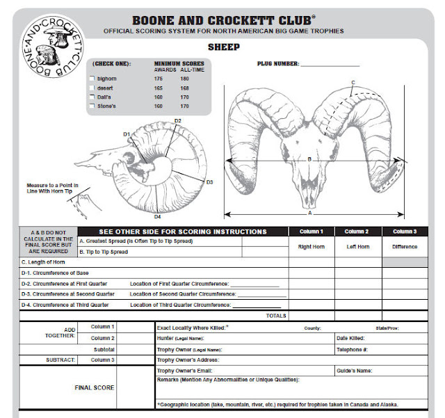 Field Judging Desert Bighorn Sheep Ernie Meeske Unit 22 186 1 8 Net Ram 