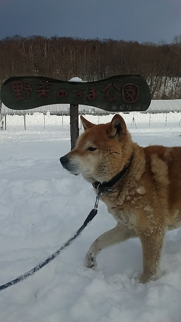 謹賀新年