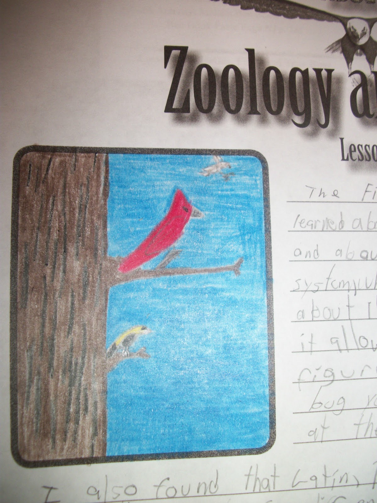 justpitchingmytent: February 2013