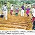 புதுக்கோட்டை மாவட்டத்தில் 5 அரசுப் பள்ளிகளில் காய்கறி தோட்டம்: மாணவர்களுக்கு ஊட்டச்சத்தை அதிகரிக்க நடவடிக்கை