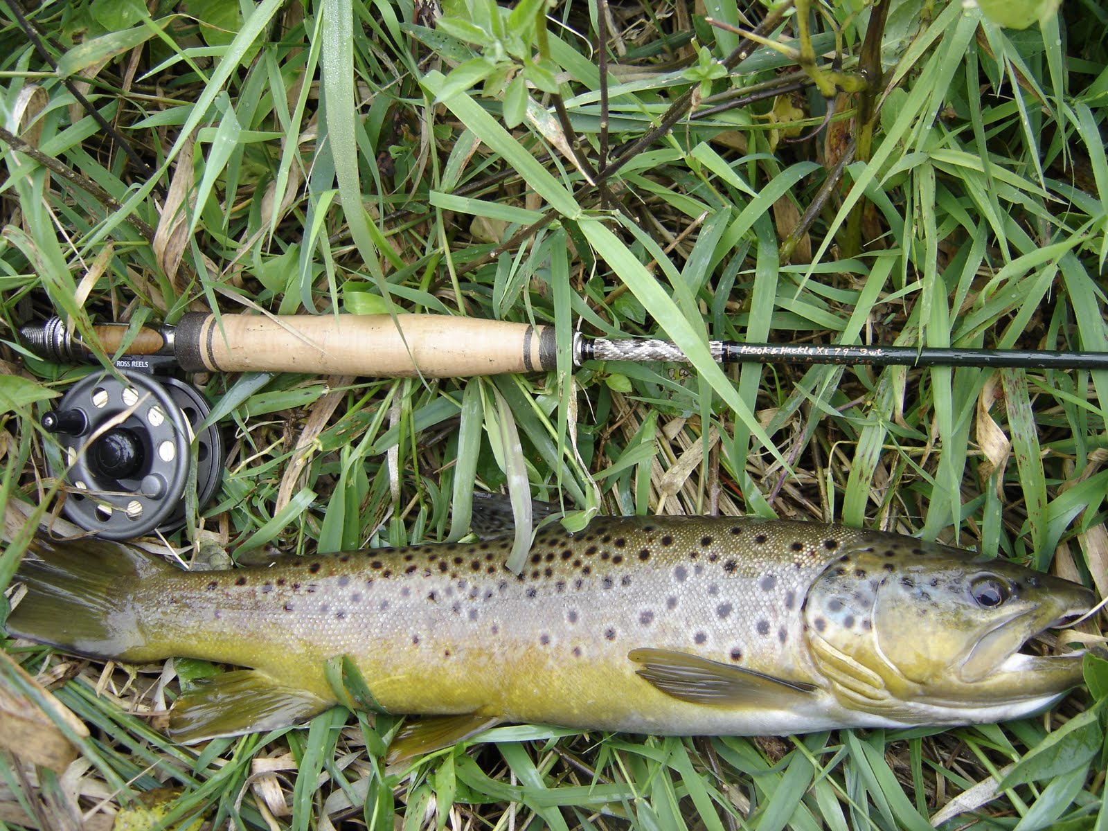 Love of Lawn Care and the Outdoors Finishing the WI Trout fishing