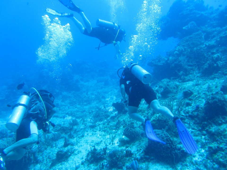 Mergulhar em COZUMEL - Um paraíso para os amantes de snorkel e mergulho | México
