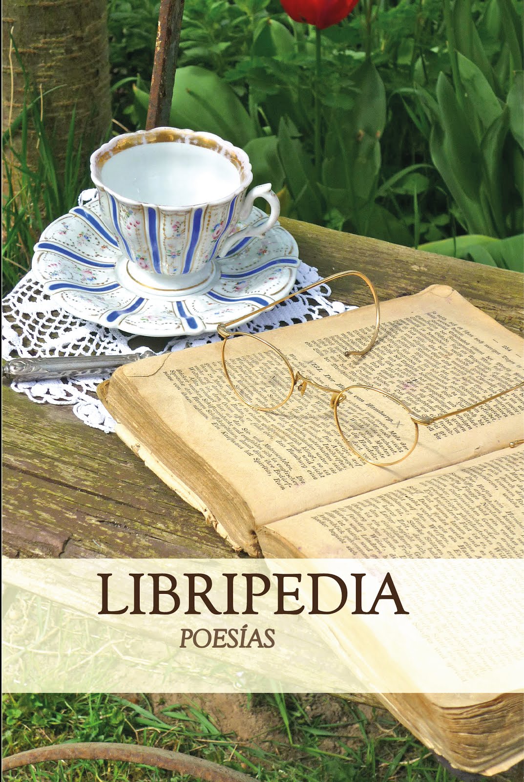 "Libripedia poesías"