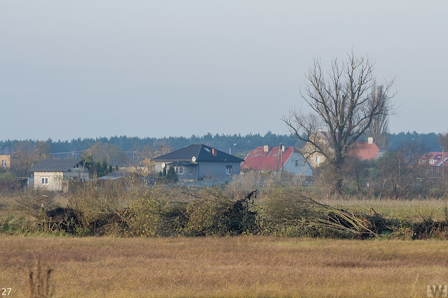 droga ekspresowa s5 bydgoszcz zamość rynarzewo szubin poznań