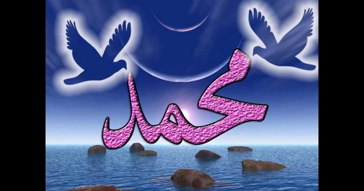 اجمل الصور المتنوعة احلى صور كوكتيل صور