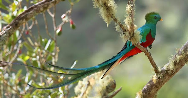 Costa Rica travel images wallpaper