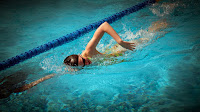 Lane Swimming Front Crawl Image of a swimmer doing front crawl drills in a swimming pool lane