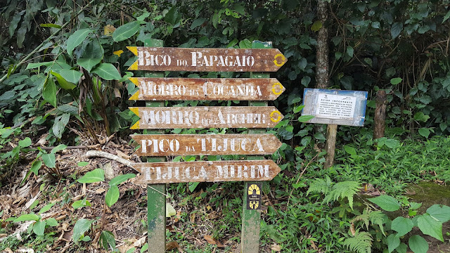 Pico da Tijuca Pico da Tijuca