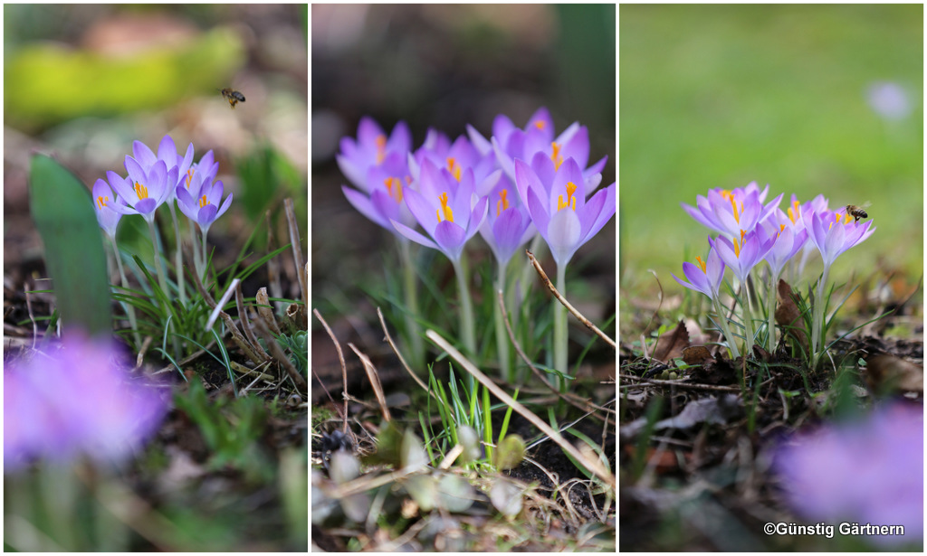 Paperplotterlottas Craftchaos Oddball Technique A Week