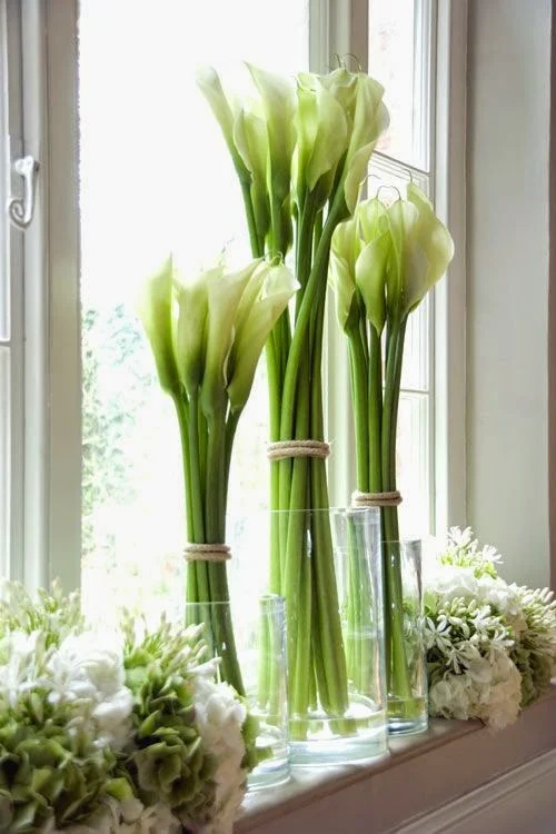 Patricia Gray | Interior Design Blog™: Simple White Flower Arrangements