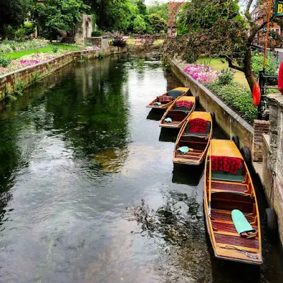 Things to do in Canterbury: Go Punting
