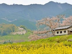 Asuka Village