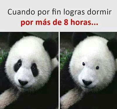 Cuando por fín puedes dormir más de ocho horas Cuando por fín puedes dormir más de ocho horas