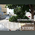 Parte de uma árvore caiu na avenida Deodoro
