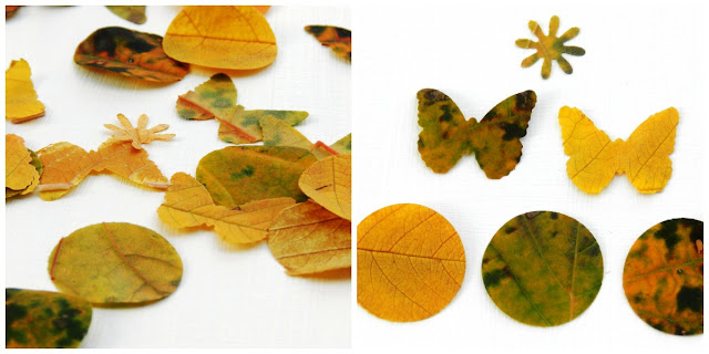dried leaf shapes