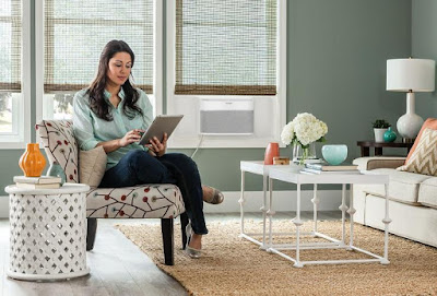 Frigidaire Smart Window Air Conditioner