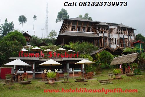 Hotel indah di kawah putih ciwidey Hotel indah di kawah putih ciwidey