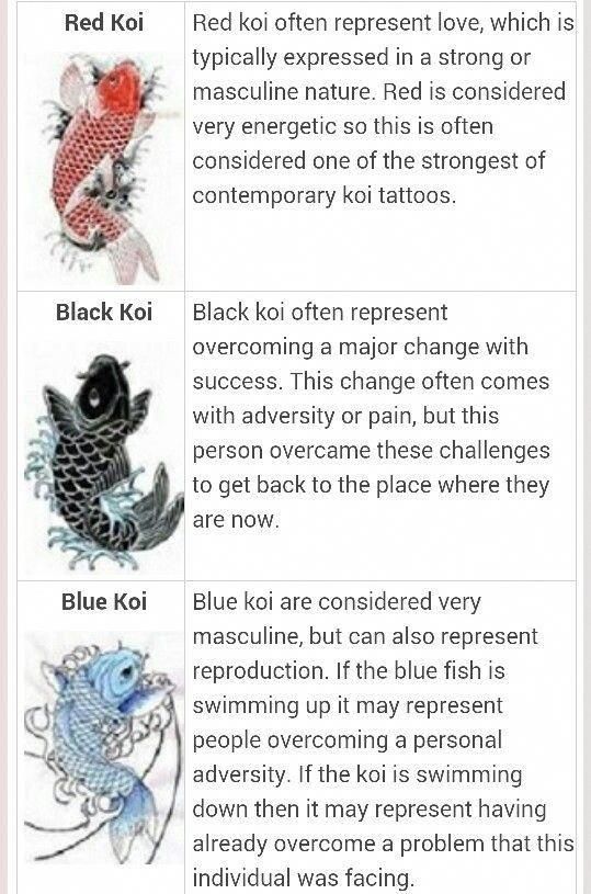 Koi Fish Color Chart