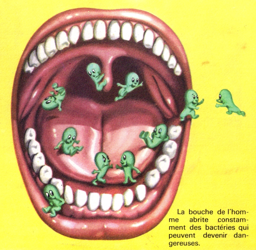 Микроорганизмы полости рта. Микробы в ротовой полости.
