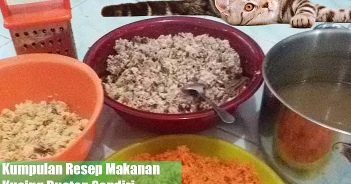 Kumpulan Resep Makanan  Untuk  Kucing  Buatan Sendiri
