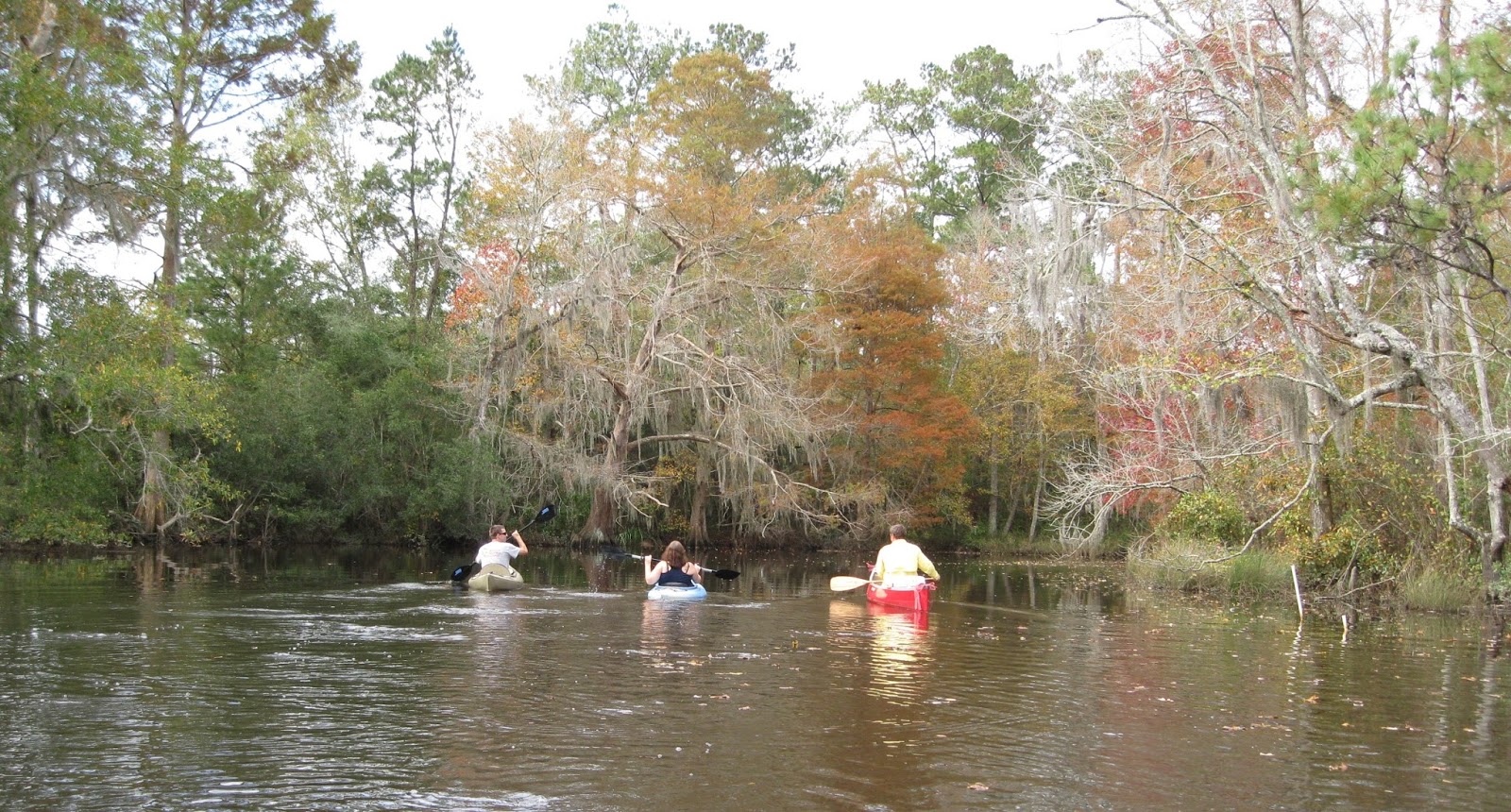 New Orleans Outdoor Companion Fall color on Bayou (LA)