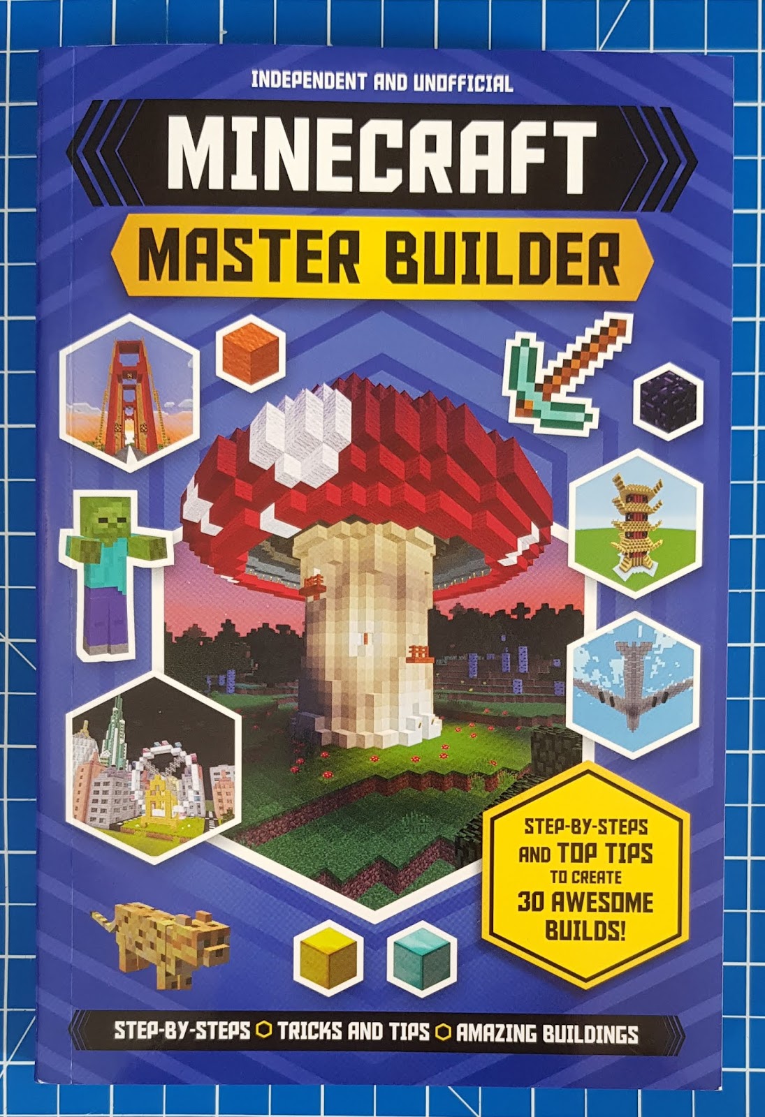 The Brick Castle Ultimate Minecraft Master Builder Book Review