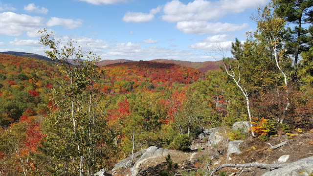 Point de vue au Sommet (forêt Ouareau)