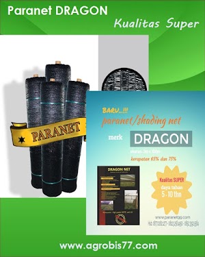 Paranet Cap DRAGON Kualitas Super Paranet Cap DRAGON Kualitas Super