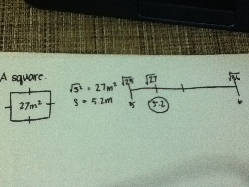 873 Math Blog (2011): Camille's Textbook Scribe Post