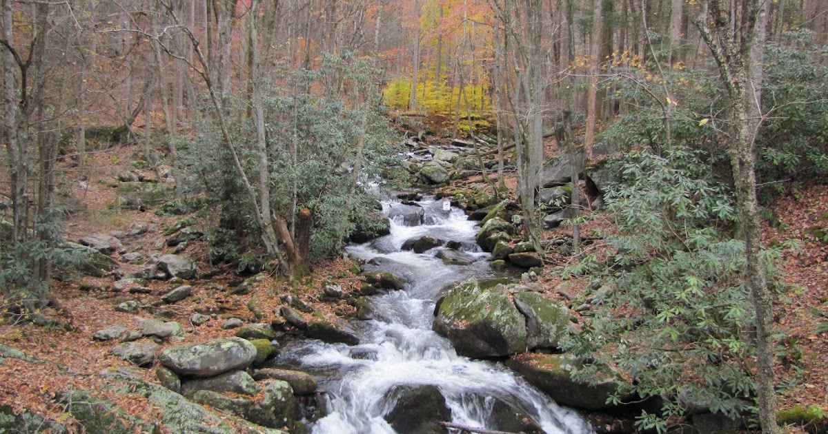 To Behold the Beauty Continuing Day 2 in the Smokies...Hiking Middle
