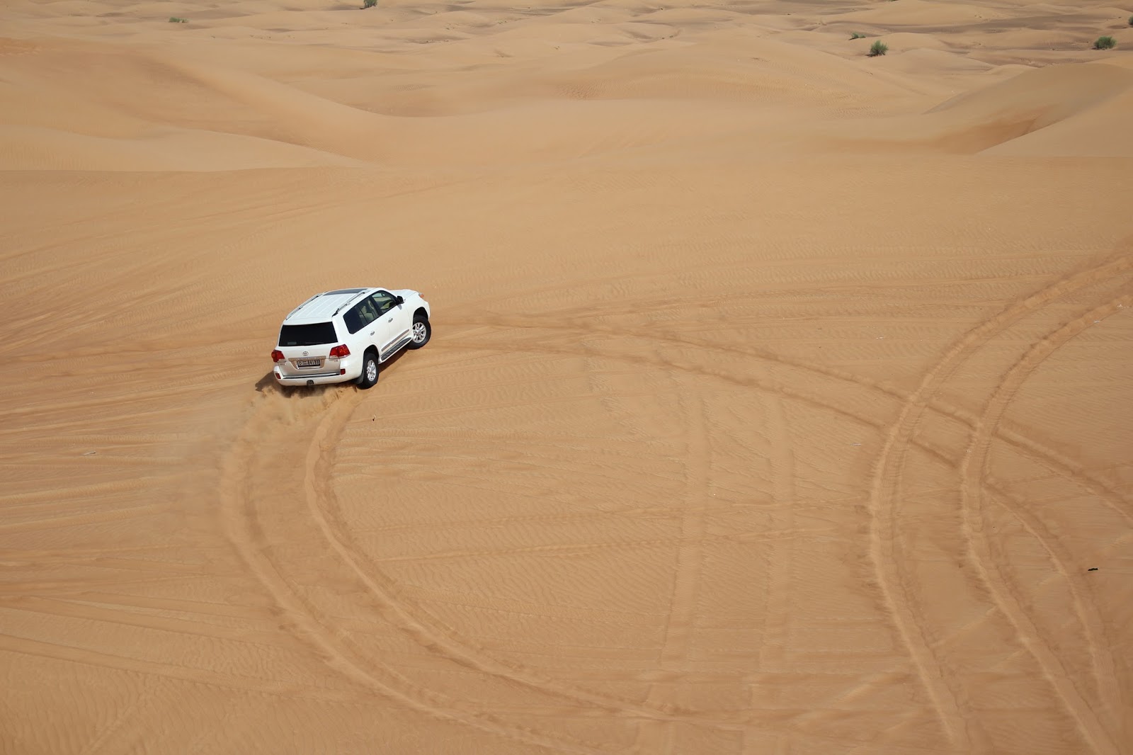 doctorsea Cheap Desert Safari Dubai Deals & Packages