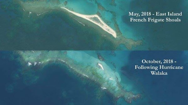 Una isla remota de Hawái desaparece del mapa tras el paso de un huracán. Una isla remota de Hawái desaparece del mapa tras el paso de un huracán.