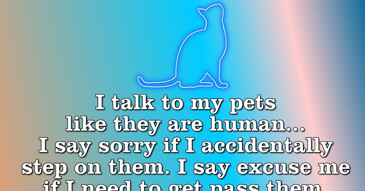 Talk to your pets like they are Human