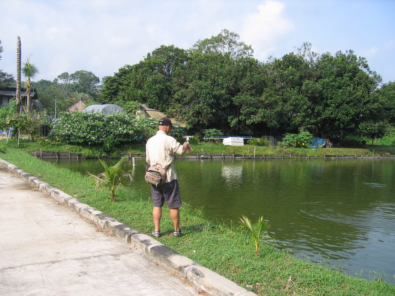 Fly Fishing Journal Yishun Bottle Tree Park