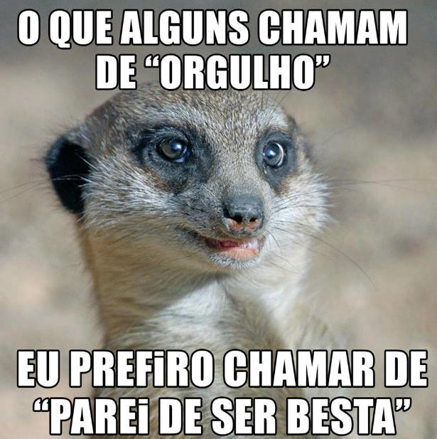 orgulho.png (615×617)