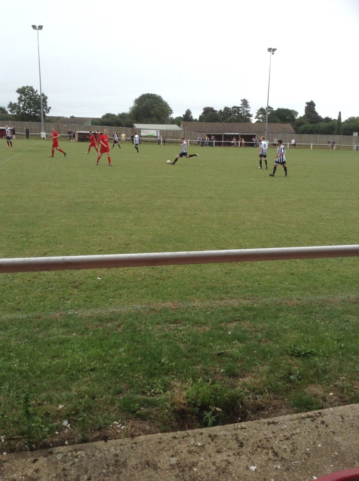 The Tortoise Travels Swaffham Town Shoemakers Lane