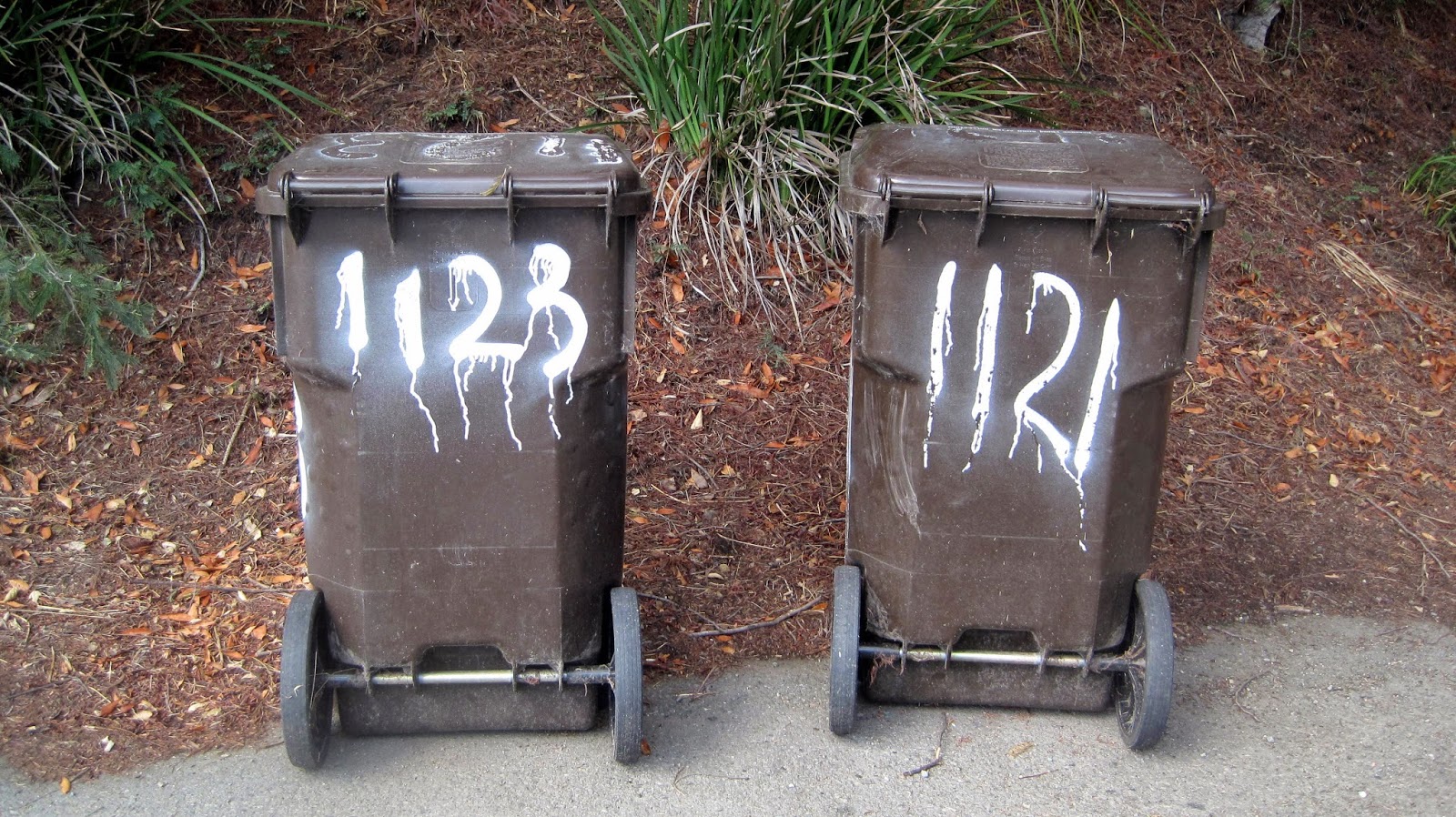 My NonTour Diary trash Part 2