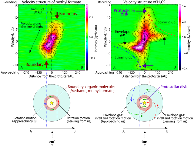Rotating ring of complex organic molecules discovered around newborn star Rotating ring of complex organic molecules discovered around newborn star