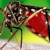 Pesquisa sobre vírus Zika em Pernambuco está parada por falta de dinheiro