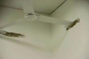 Inilah 35 bangunan yang gagal, ini pasti bisa bikin kamu ngakak sampai mules!