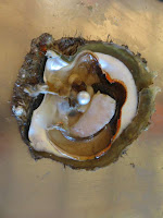 Pearl in an oyster shell