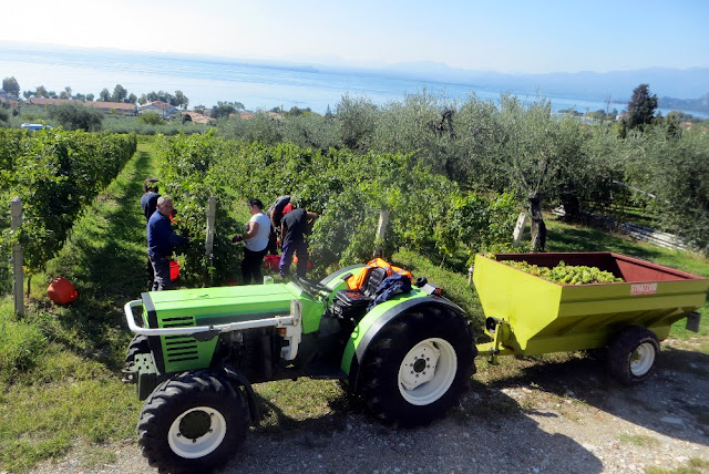 ciclabile del garda