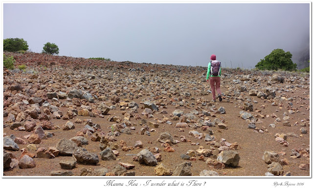 Mauna Kea: I wonder what is There ?