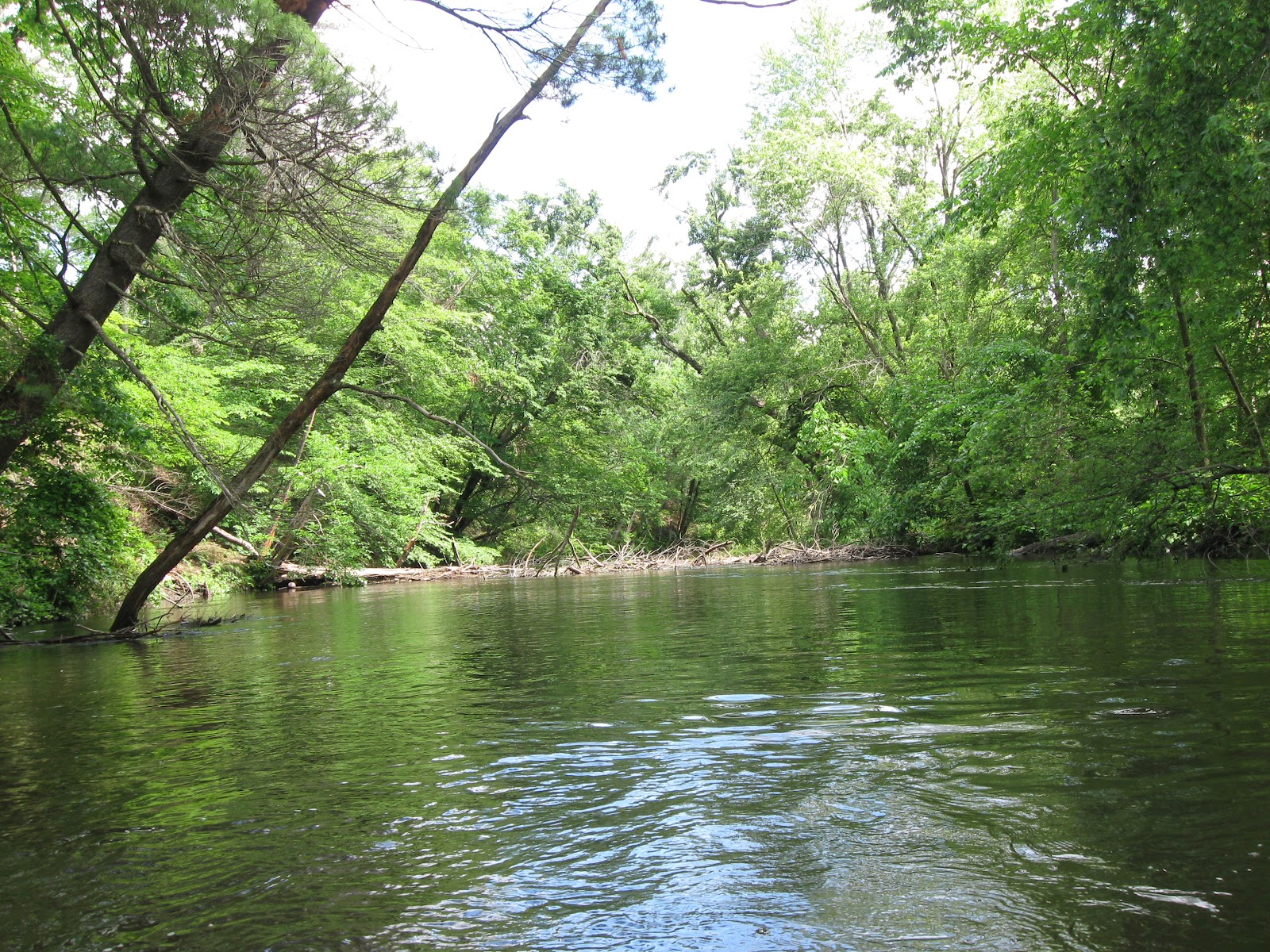 Trashpaddler Nashua River Bolton Flats