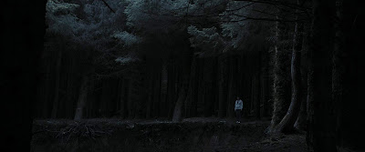 The Hole In The Ground Movie Image 4