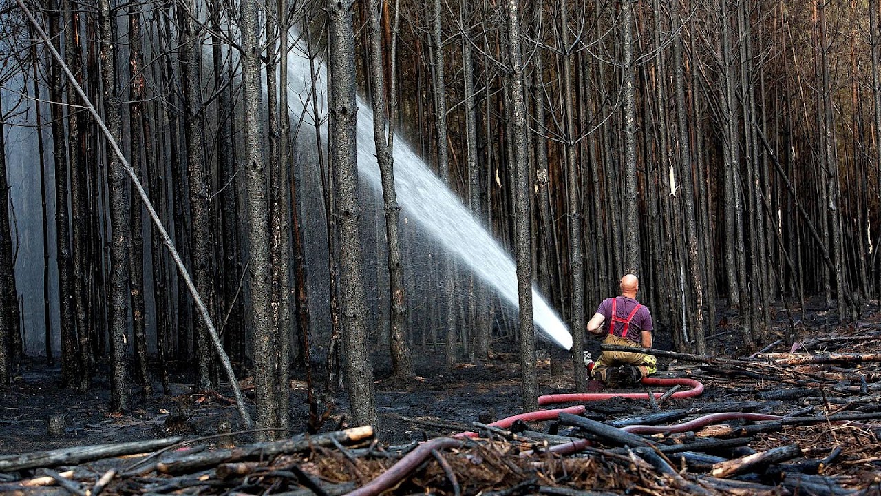 National Union Fire Insurance Phone Number Fire Choices
